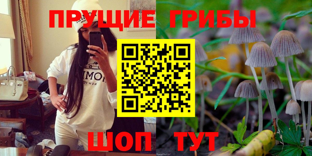 где можно купить   Галлюциногенные грибы мицелий  Вход с VPN  Альметьевск 